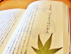 人まね、マンネリはいかん。～本当に良い言葉です。～