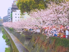 中途半端な言霊ごっこ、良い人ぶる人生は不細工＆不幸です。