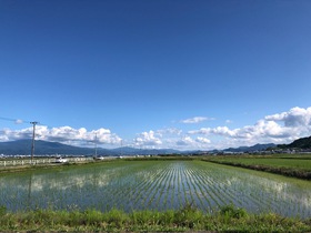 さくらんぼと奉納ダンスと座敷わらし。～２０１９年初夏のタガマヤ村滞在・２～