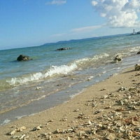 海。