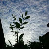 空。