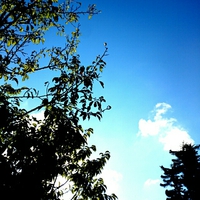 空。