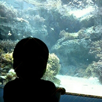 美ら海水族館