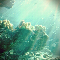 美ら海水族館