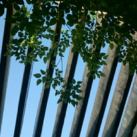 空。