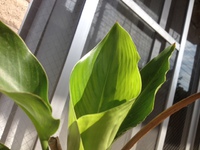 4月5日は。。。 2014/04/05 10:20:15