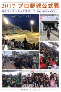 2017 プロ野球公式戦　（in OKINAWA）