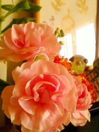 ピンクの☆ 2014/12/29 14:01:43