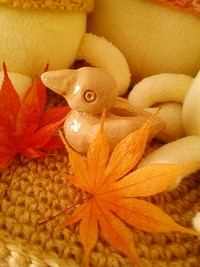 クイナの年☆ 2017/01/13 12:51:31