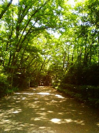 熱田のあ〜さ〜☆ 2014/06/14 15:15:04