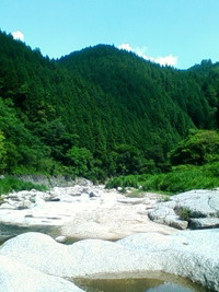 癒やし〜☆ 2014/07/23 08:32:16