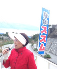 稲嶺ススム市長の勝利を 2013/12/24 10:47:34