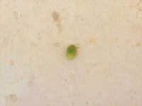 君たちのおかげ♪(o´▽｀o)ｖ 2014/08/16 23:39:51