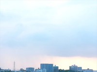 育成鉢？にチャレンジ 2014/08/29 01:58:19