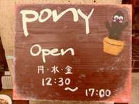 PONYさんと多肉ﾁｬﾝ【前編】 2014/06/30 03:28:15