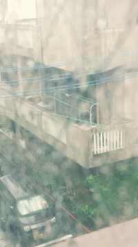台風対策と夏の多肉ﾁｬﾝ 2014/07/08 16:10:19