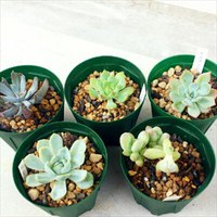 お買い物日和～Ψ(￣∇￣)Ψ 2014/08/09 00:41:51