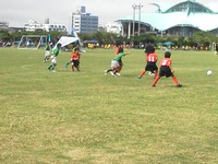 ワラビー杯6/9.10.2012　