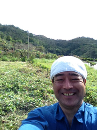 少しづつ
