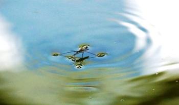 最近のお気に入り
