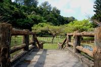 沖縄の風景 2010/03/06 00:33:22