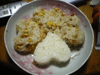 初めての 2010/02/02 22:40:38