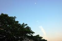 おはようございます 2010/06/01 08:45:50