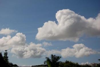 夏の知らせ、雲