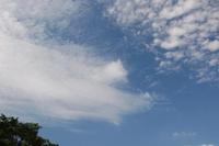 夏の知らせ、雲 2010/06/09 23:24:42