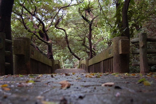 末吉公園2