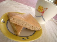 たまには・・・☆ 2008/11/09 20:16:43