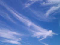 今日の☆ 2008/09/08 20:50:27