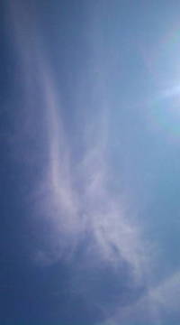 きれいなまんまる○ 2008/10/07 09:09:56