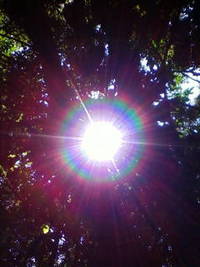 道☆ 2008/12/01 20:44:53