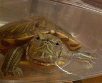 も～しも～し♪ 2007/04/06 21:41:25
