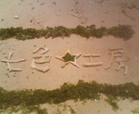初☆泳ぎ 2007/06/09 22:04:23