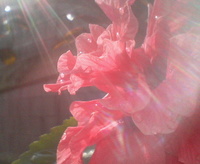 いや～ん♪ 2007/12/11 21:55:50
