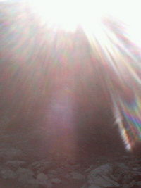 旅は続く・・・② 2008/03/16 14:12:06