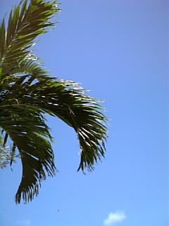 いい天気ｏ(＾▽＾)ｏ