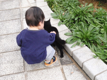 公園のねこ