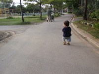 公園を散歩