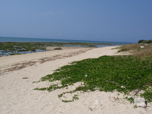 海・砂浜