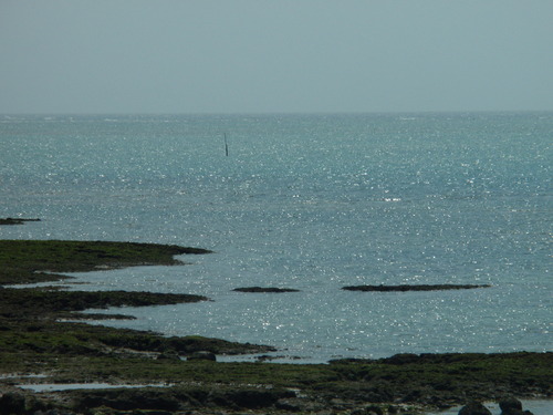 キラキラな海