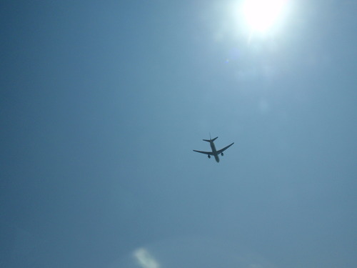 飛行機