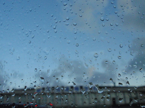 雨の粒