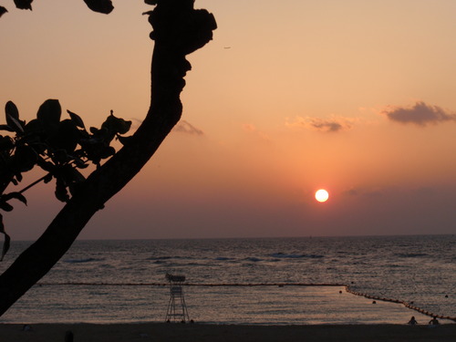 夕日２