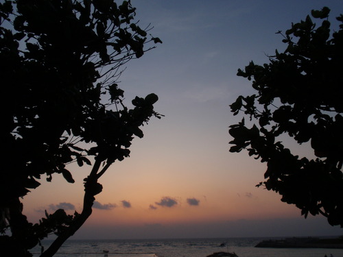 夕日３