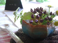 今日はお茶の日 2010/07/09 22:27:30