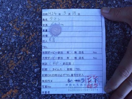 ☆ﾀﾞｰﾋﾞｰ参加者 釣果です☆