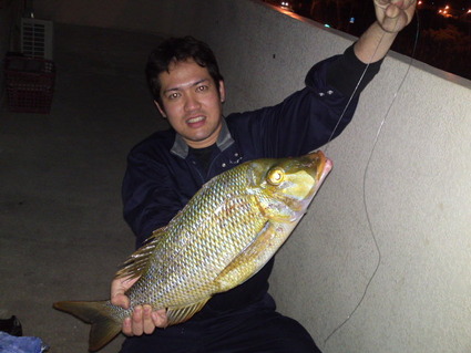 ☆ダービー参加者 釣果☆